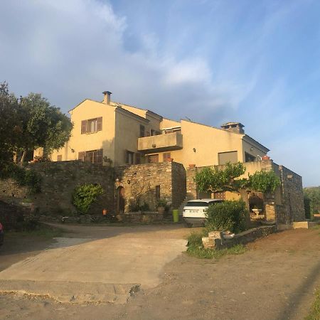 Chambres D'Hotes Casa Pruneta Saint-Florent  Kültér fotó