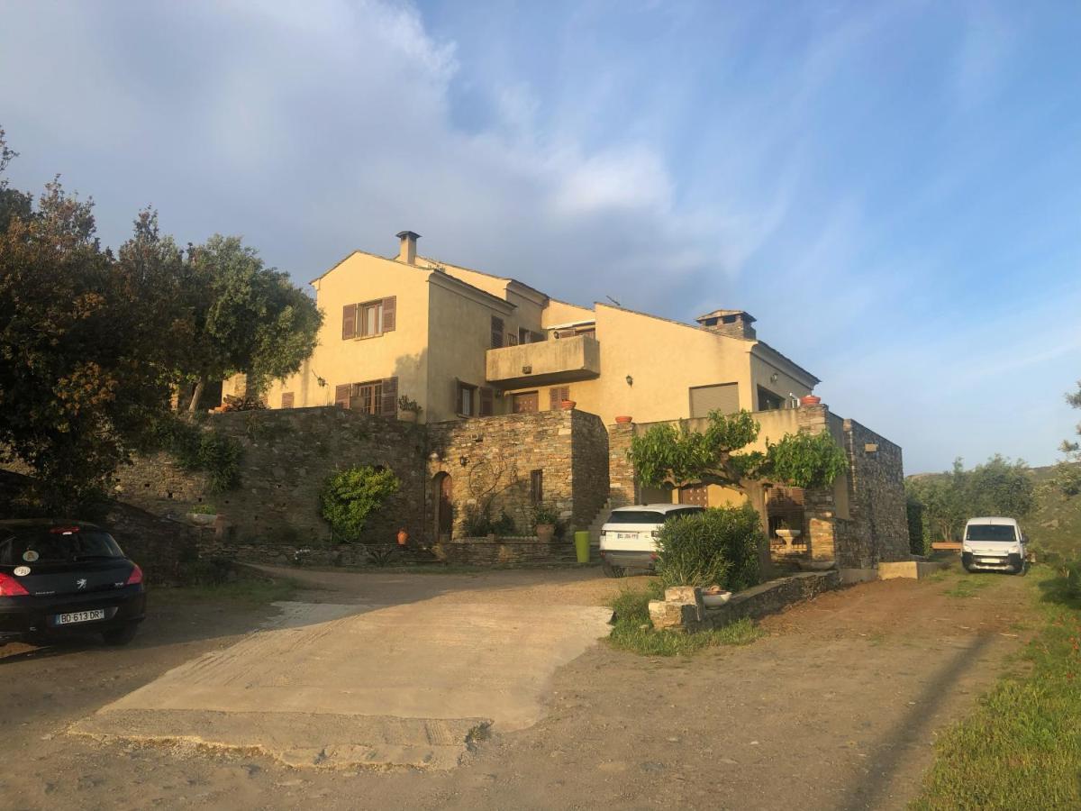 Chambres D'Hotes Casa Pruneta Saint-Florent  Kültér fotó